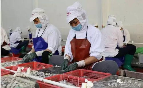 北仑河畔 这些活跃在东兴的越南 淘金者