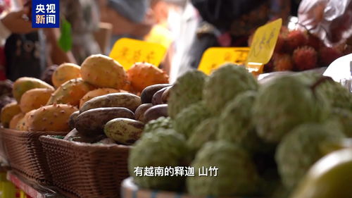 跟总台记者打卡中越边境 东盟商品买买买