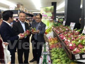 火龙果 越南主要的出口水果产品