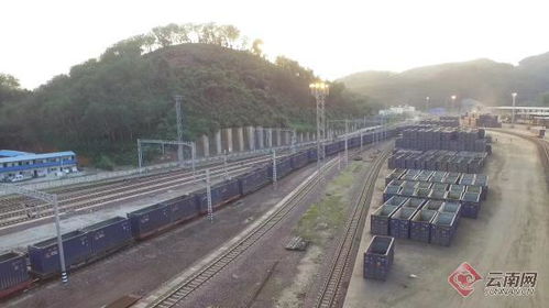中越铁路 一箱到底重出重进 专列首发