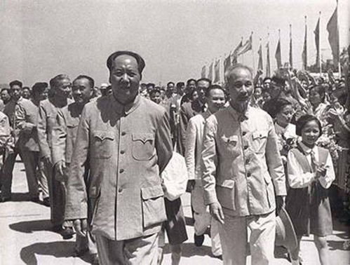 中越战争,越南空军装备优良,为何宁愿输也没派遣战机来对抗中国