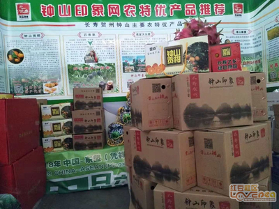 钟山印象参展2018中越农特产品交易会暨边关旅游节