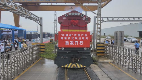 广西开行首趟中越老农资产品跨境多式联运班列